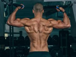 Các Bài Tập Lưng Cho Nam Tại Phòng Gym