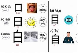 Cách Học Tiếng Trung Hiệu Quả Cho Người Đi Làm