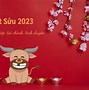 Tuổi Ất Sửu Năm 2023 Nữ Mạng